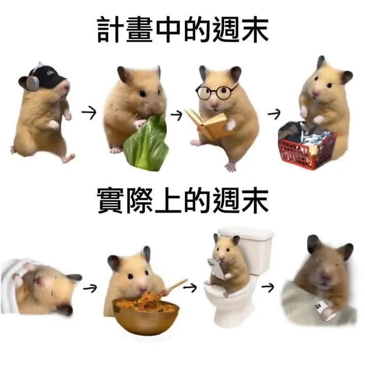 这我 