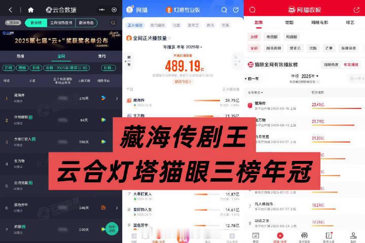 到目前为止云合、灯塔、猫眼年榜第一都是藏海传，APP可查，也不是粉圈自制小表格肖