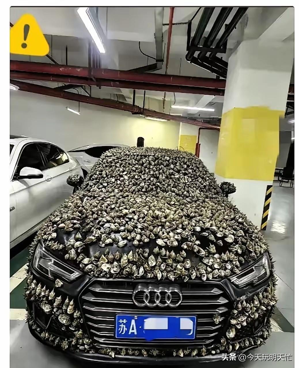 江苏的陈先生，最近算是彻底开了眼，也憋了一肚子火。
 
自己花钱买的专属车位，明