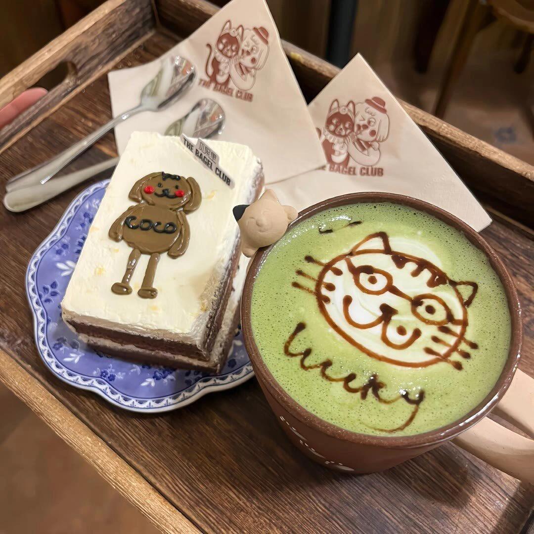 -𝐒𝐇𝐀𝐑𝐄｜𝔀𝓮𝓬𝓱𝓪𝓽 头像背景图搭配 ⸝⸝🥨꙳🐈