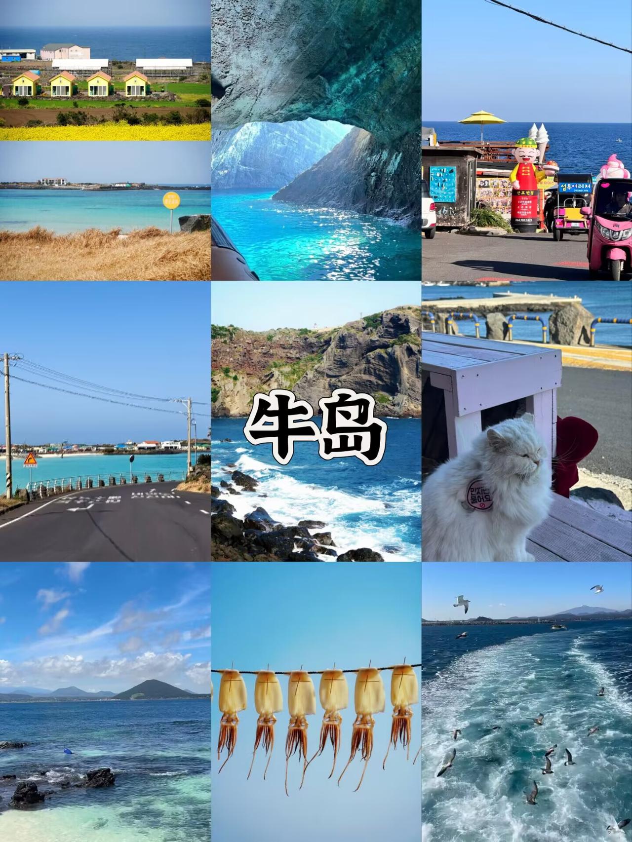🚢济州岛本地人说：没去牛岛等于白来。这里不是济州岛本岛，是坐船15分钟才能到的