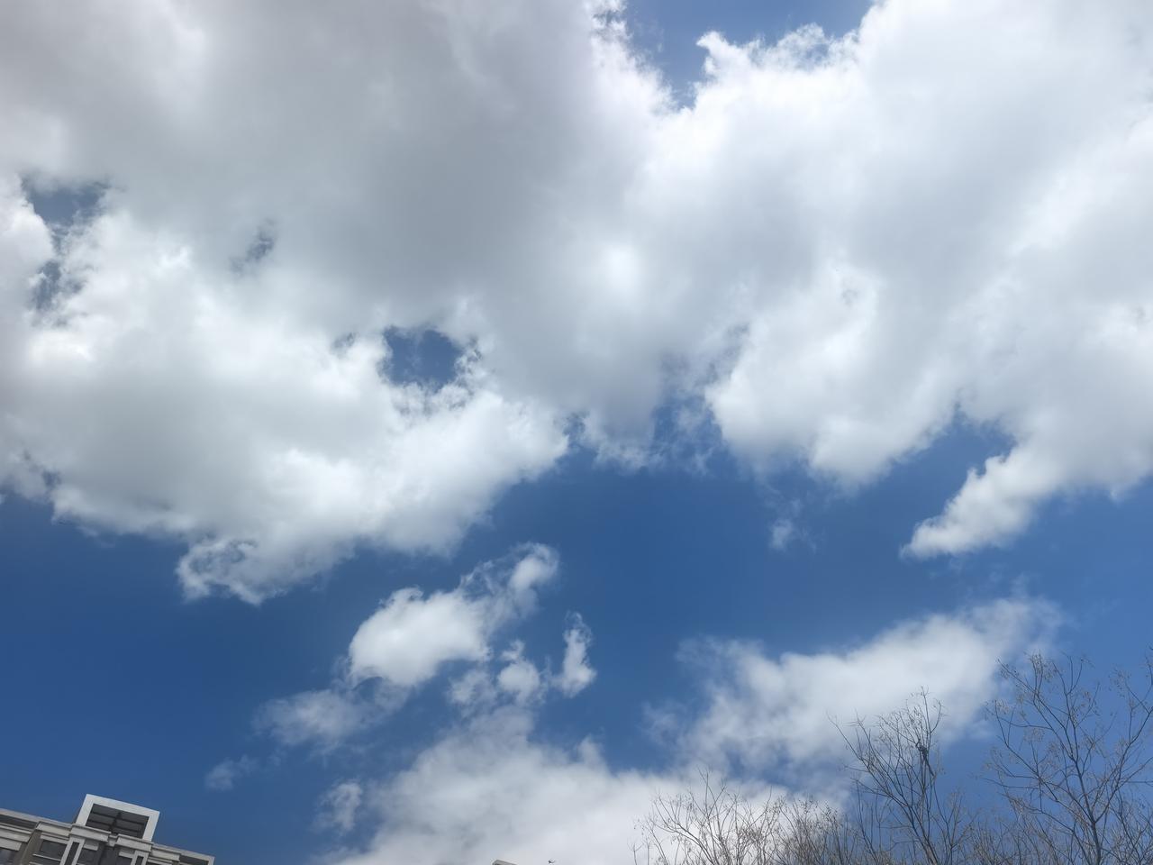 正午的晴空，是祖母压在箱底的蓝绸缎，光洁而温润。几朵白云，恰似新棉落在上头，静静