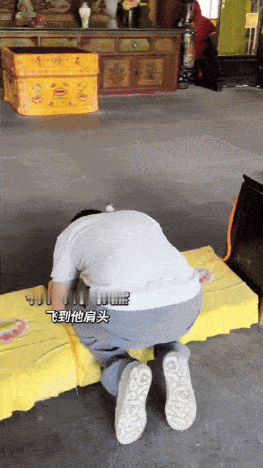 科学都解释不清了？四川成都，小伙吃素7年去寺庙祈福还愿，刚走出大殿，一只灰扑扑的