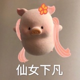 蕨儿爱看体育
