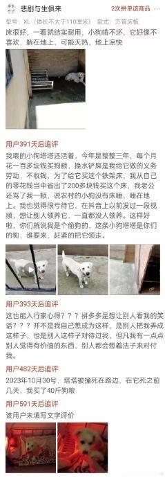 不过问心看到现在最崩溃的一个情节还是张调娥的狗死了。。人性压力倒是能扛得住。。人