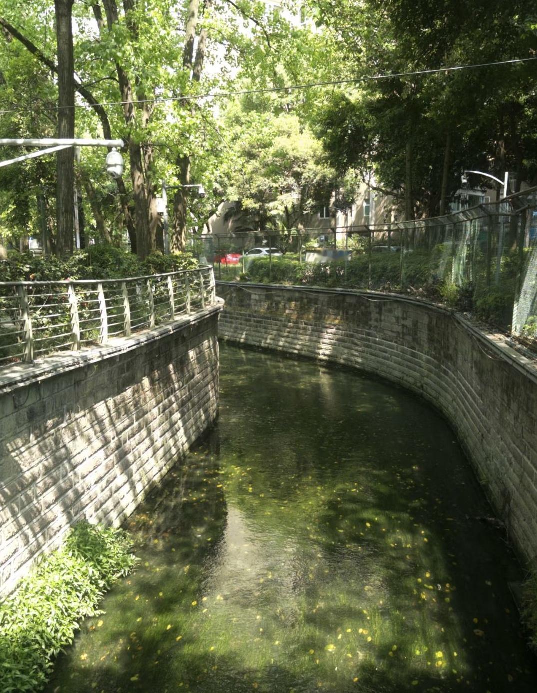 成都，对于市区河道治理，真成效显著啊！
这些年的环境和水质，明显好了很多！
曾经