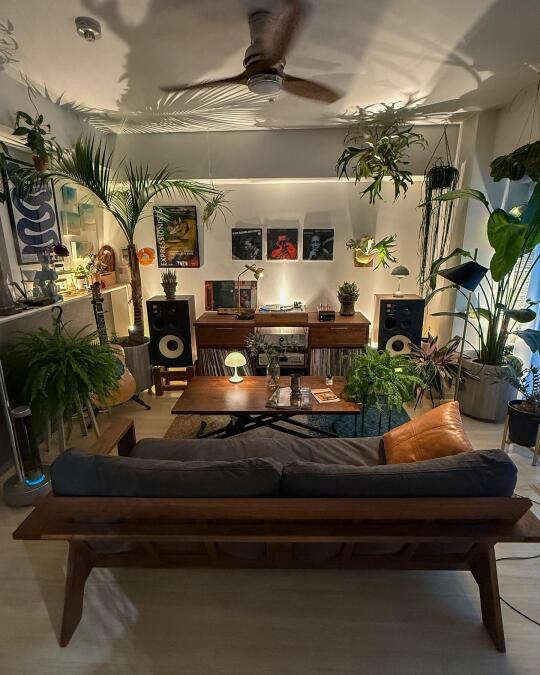 这是植物爱好者喜欢的客厅吗？