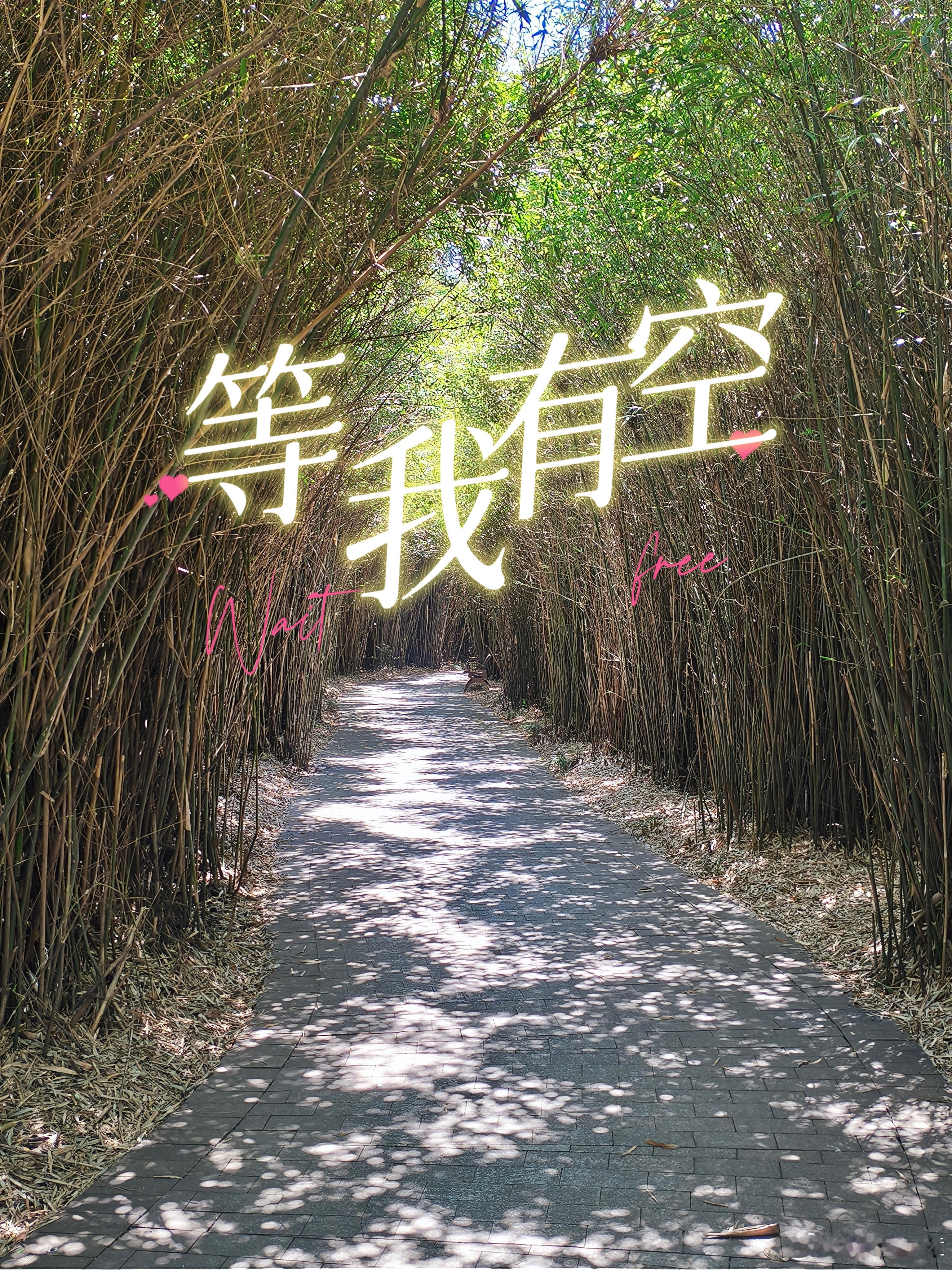 微小说大赛迷你短篇《等我有空》年少的时候，我们总习惯性敷衍真心。现在的10后张扬