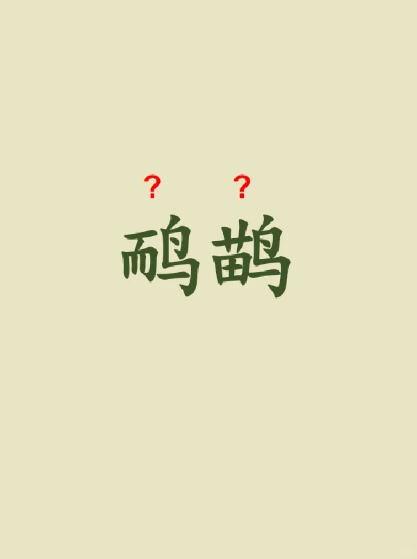 今天来学习——鸸鹋