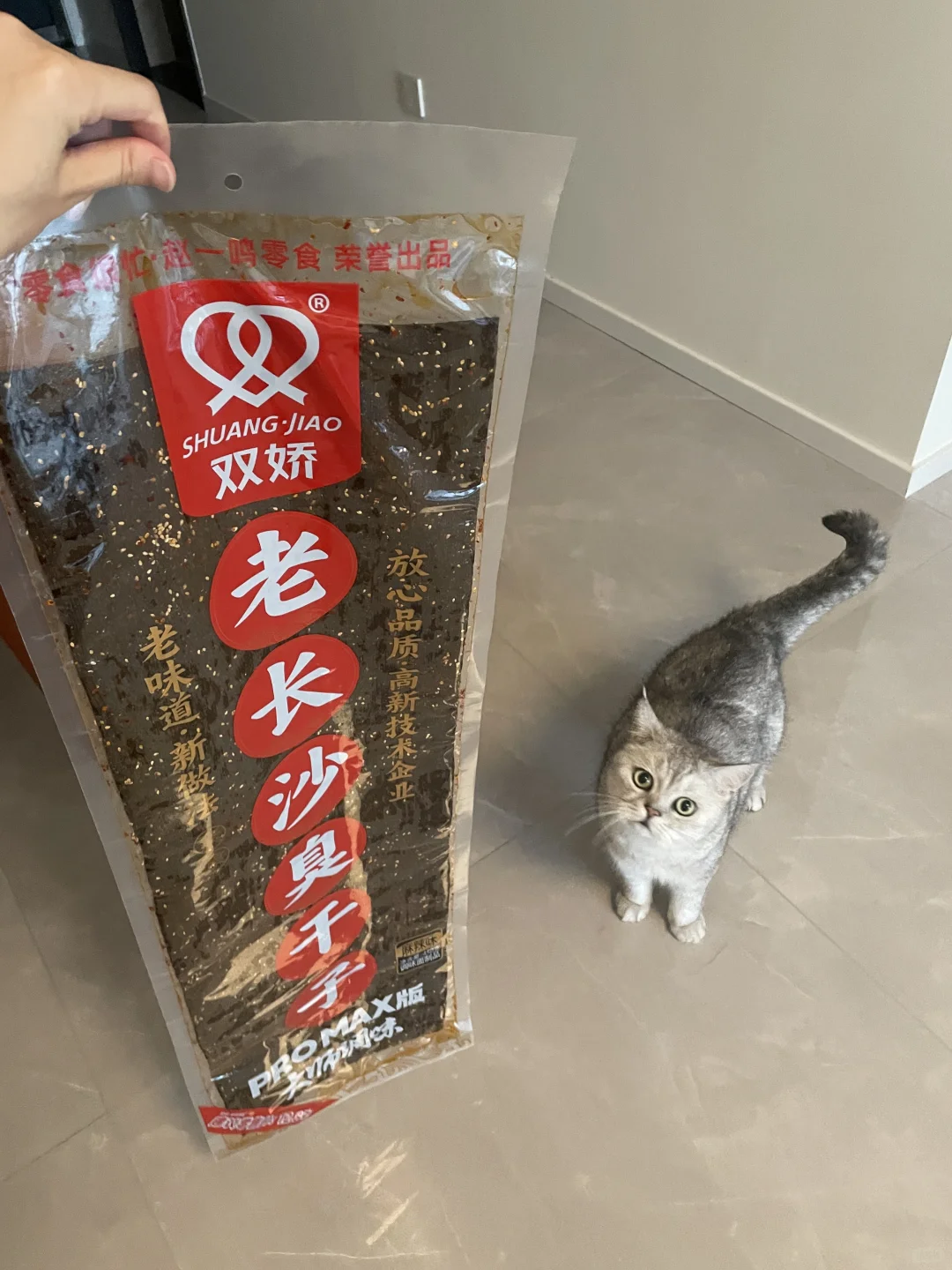 给孩子带的特产它好像不是很满意