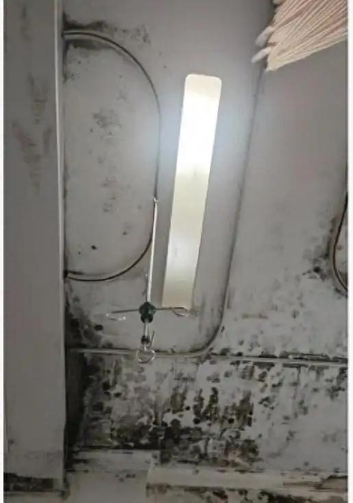 广东湛江，一患者视频曝光三甲医院病房墙体大片深褐色霉斑，天花板遍布黑绿色霉迹，连