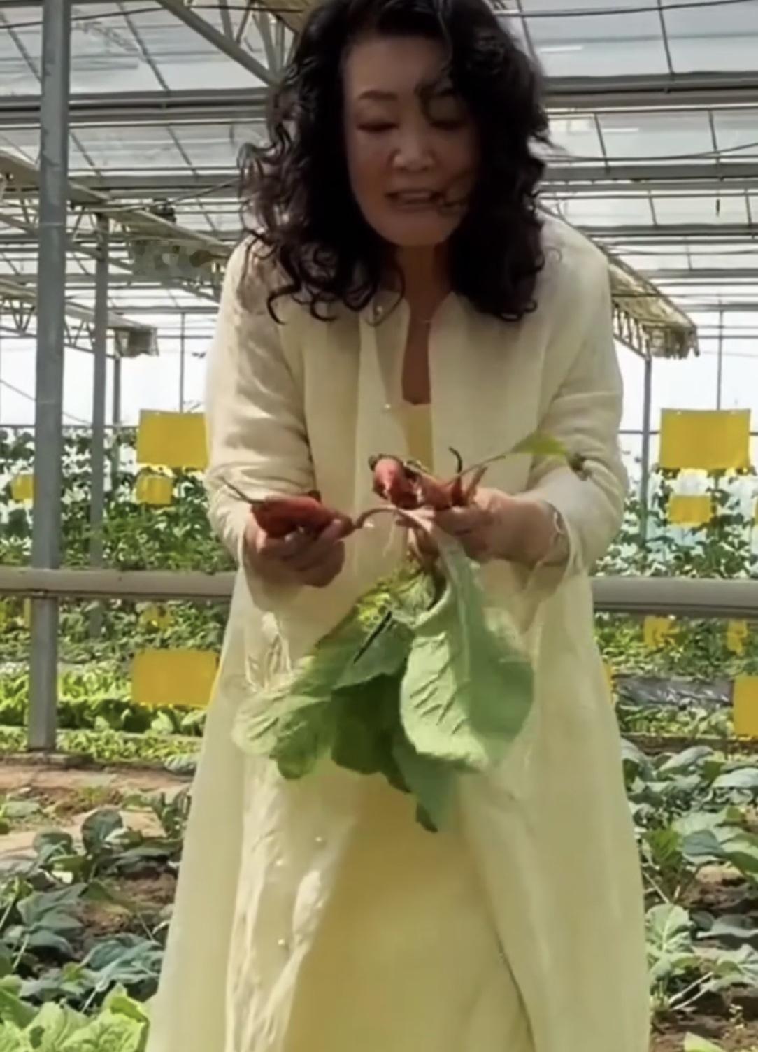 张兰不再执着于孙子孙女之间，她利用假期亲近大自然和小宇一起到蔬菜大棚中感受绿色生