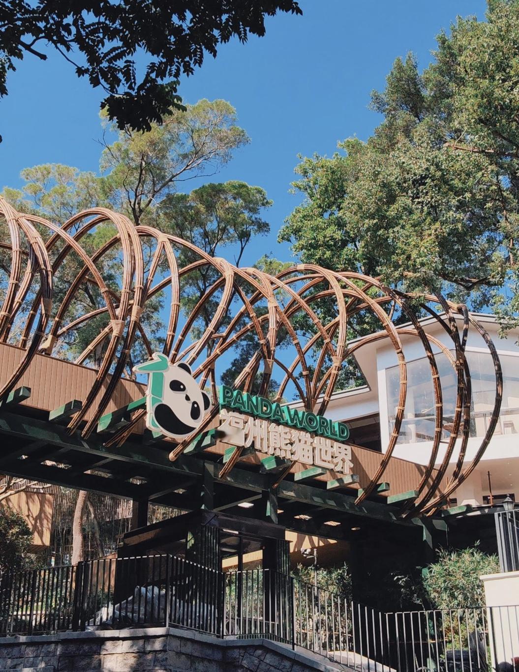 福州熊猫世界2026年元旦见！

福州身边事