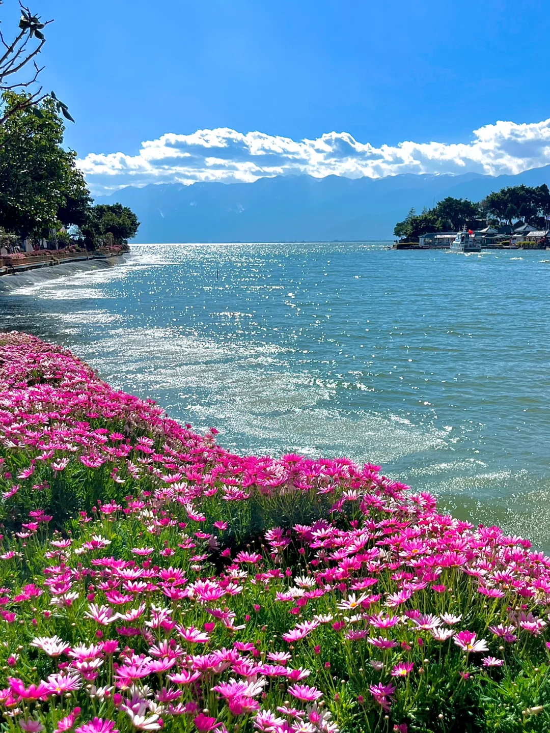 live图｜大理洱海简直美得不像话！！