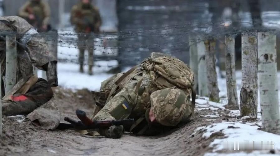 俄乌冲突爆发后，乌军官兵开始大规模被派往北约各国的训练中心接受军事训练，其中包括