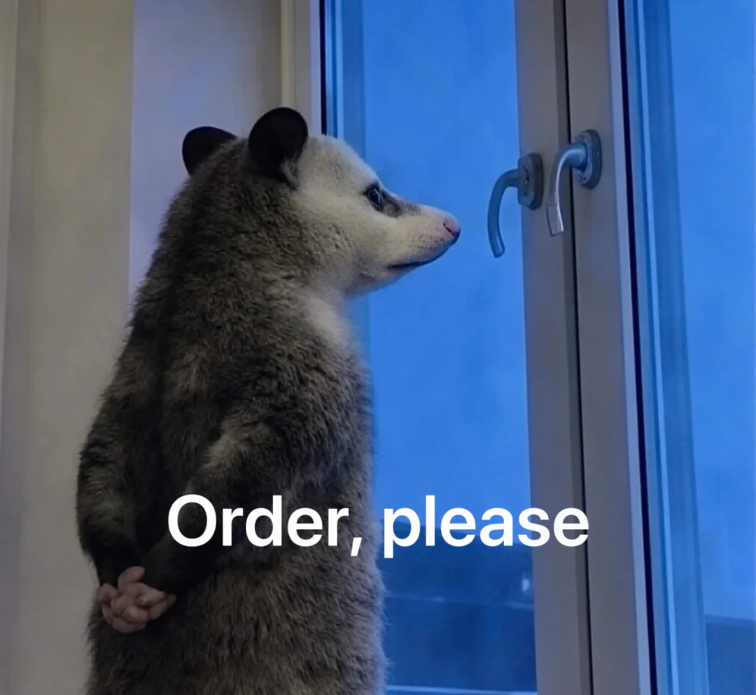 外贸人的负鼠表情包