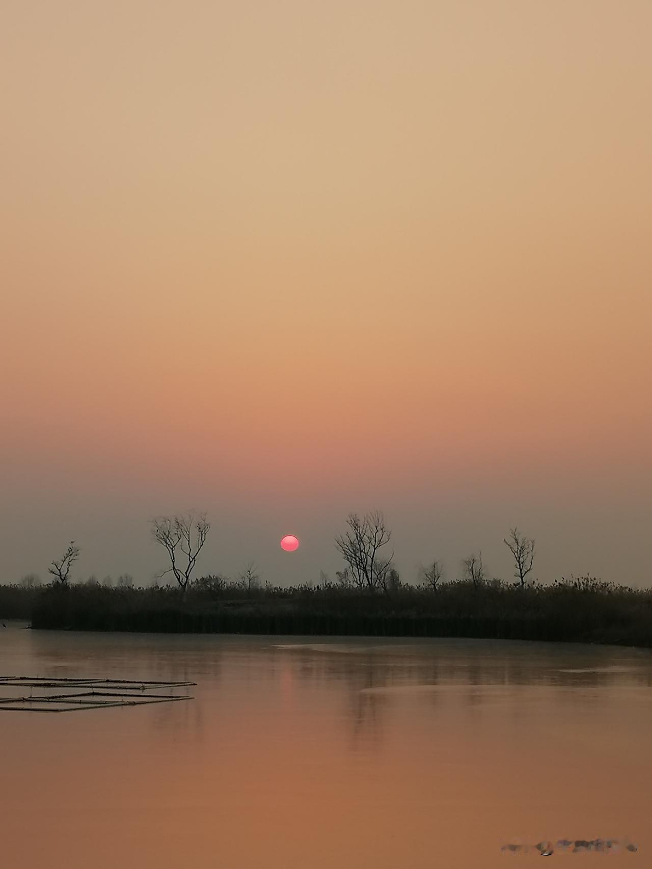 妈妈去世己经一周，她的音容笑貌总在脑海里浮现，忍不住泪水涟涟。
妈妈临别前的点点