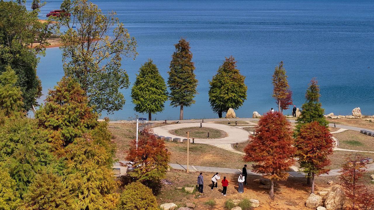 读《近思录》之2.89.5

杨中立问曰：《西铭》言体而不及用，恐其流遂至于兼爱