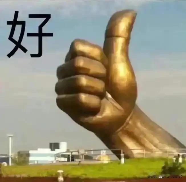 节目是个好平台，能让藏友之间交流经验、分享心得！如果有机会去天津鉴宝的话，我会参