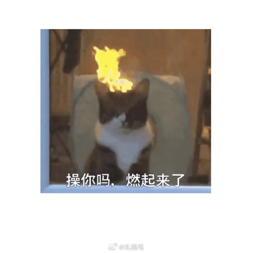 喝着咖啡，旅蛙突然感慨，说早上观察球球和别的小孩玩，发现球球性格太好了我：怎么说