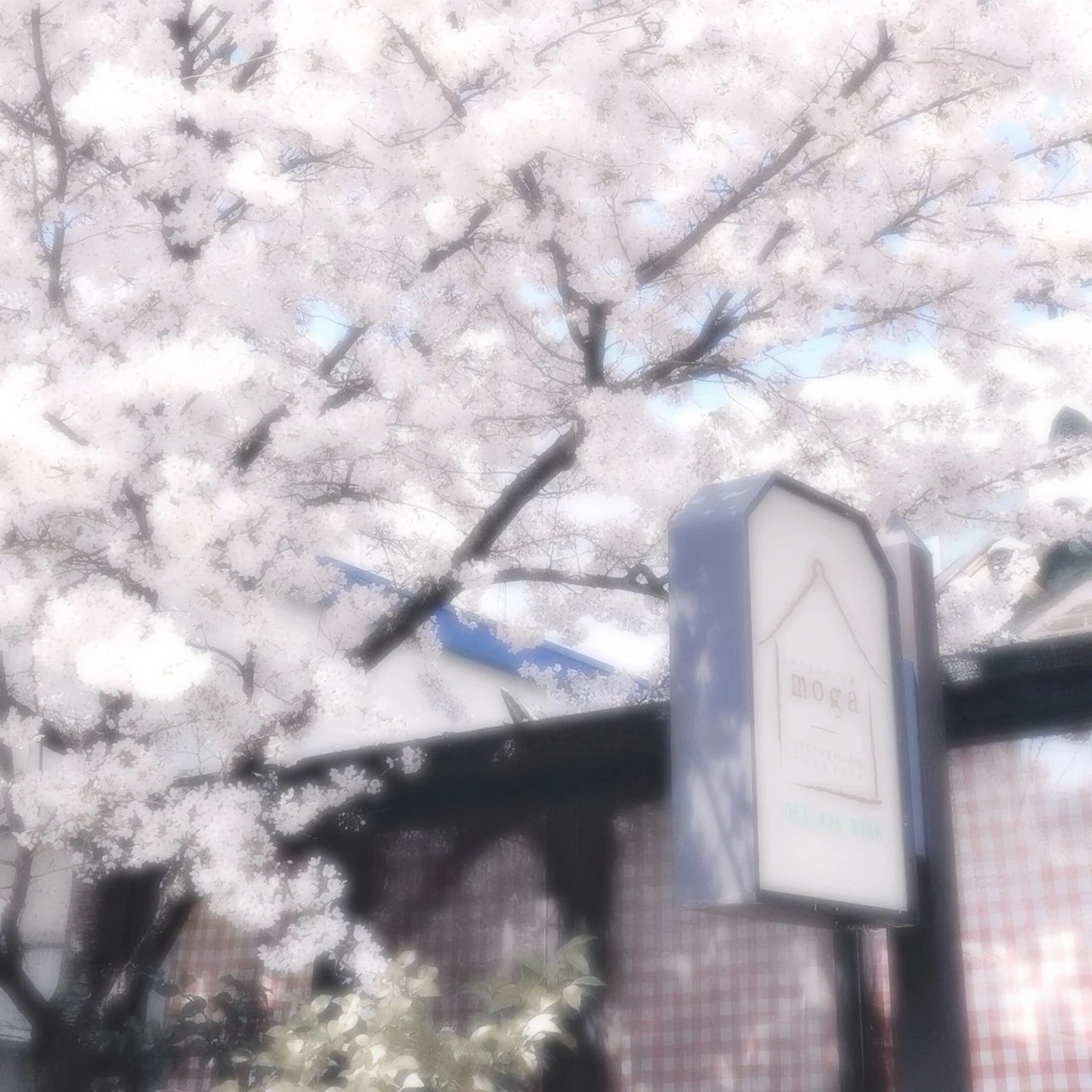 ❤︎半分の春桜：妳的記憶是櫻花味的◞ೃ粉色系 | 剪辑素材 | 梦女剪辑素材 |