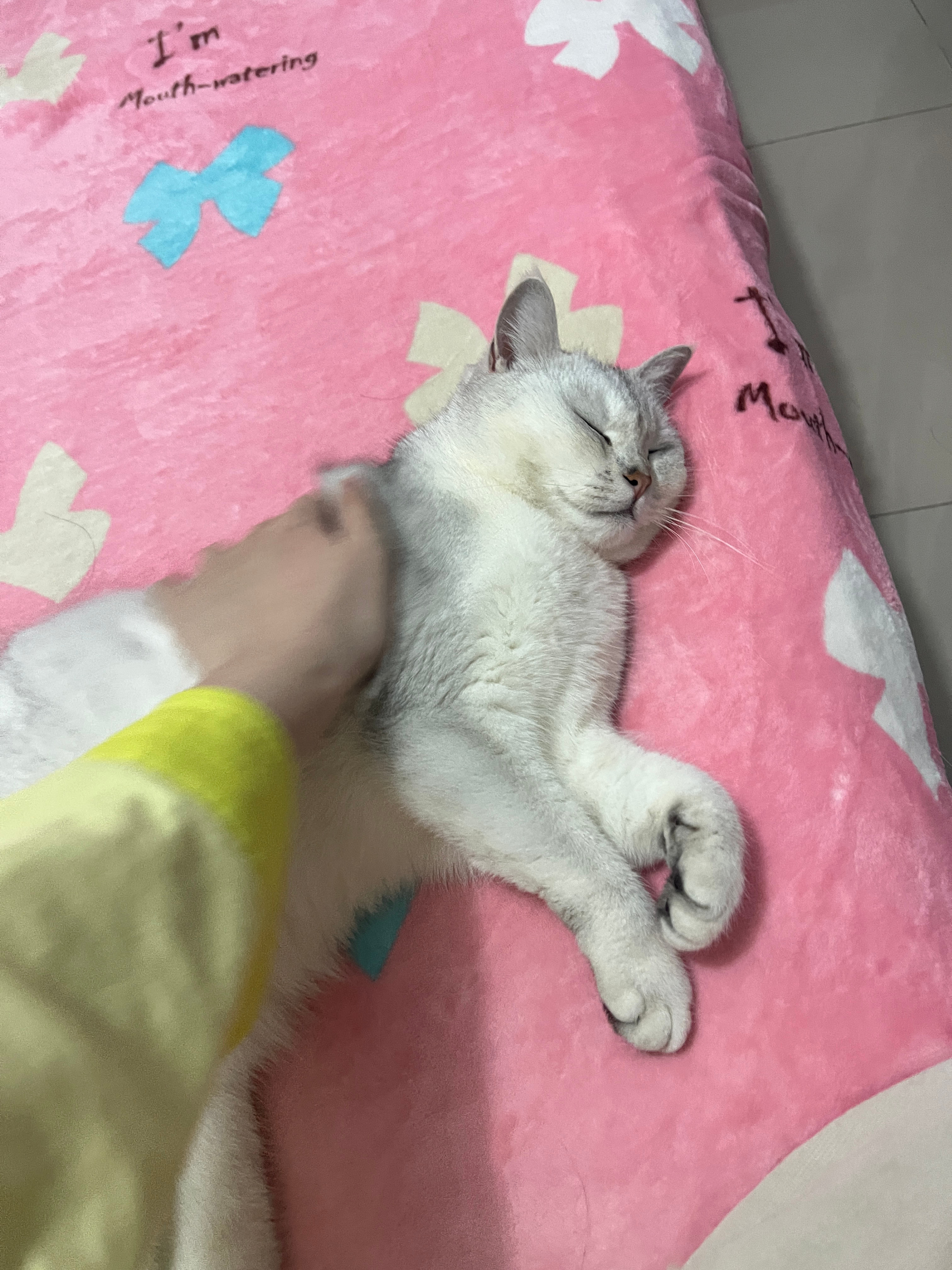 宝宝，你能不能和我互换一下让我也睡睡 ​​​