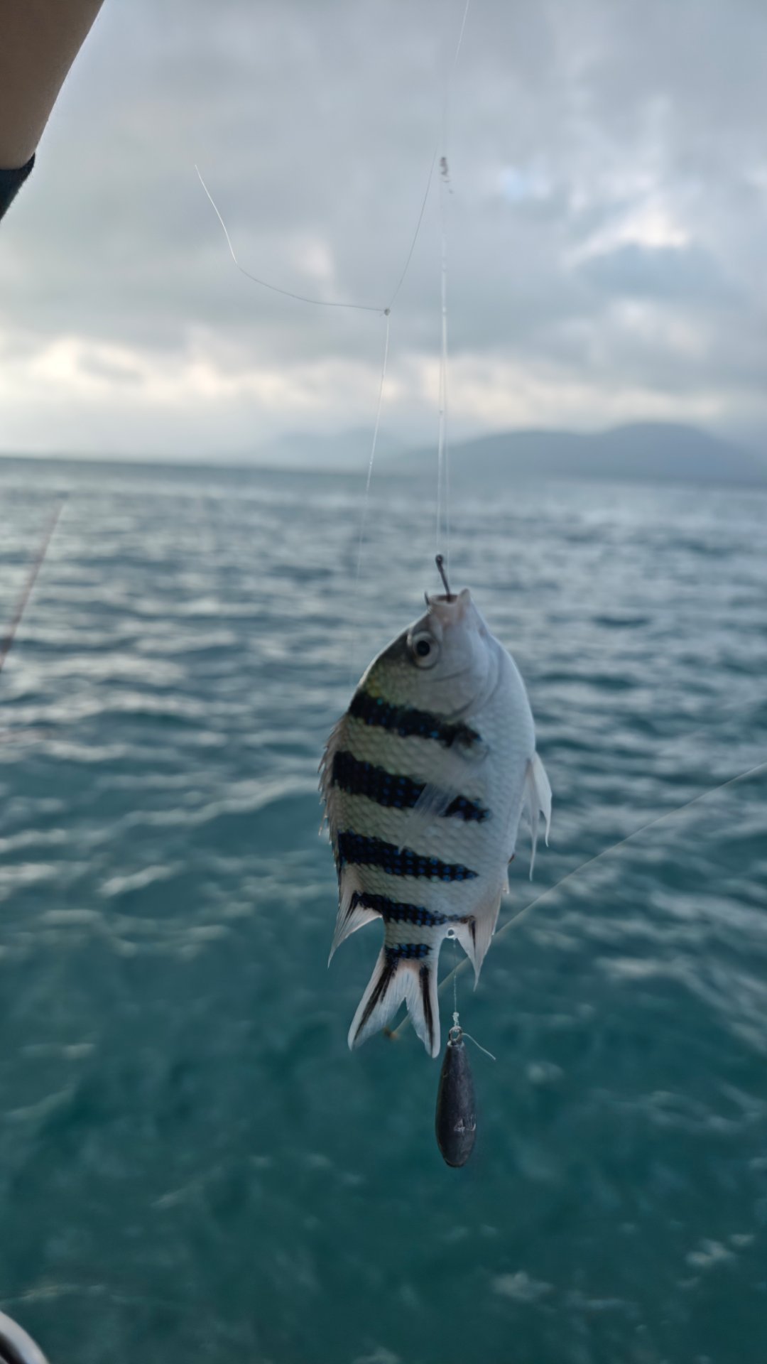没有空军。 人生第一次海钓。 
