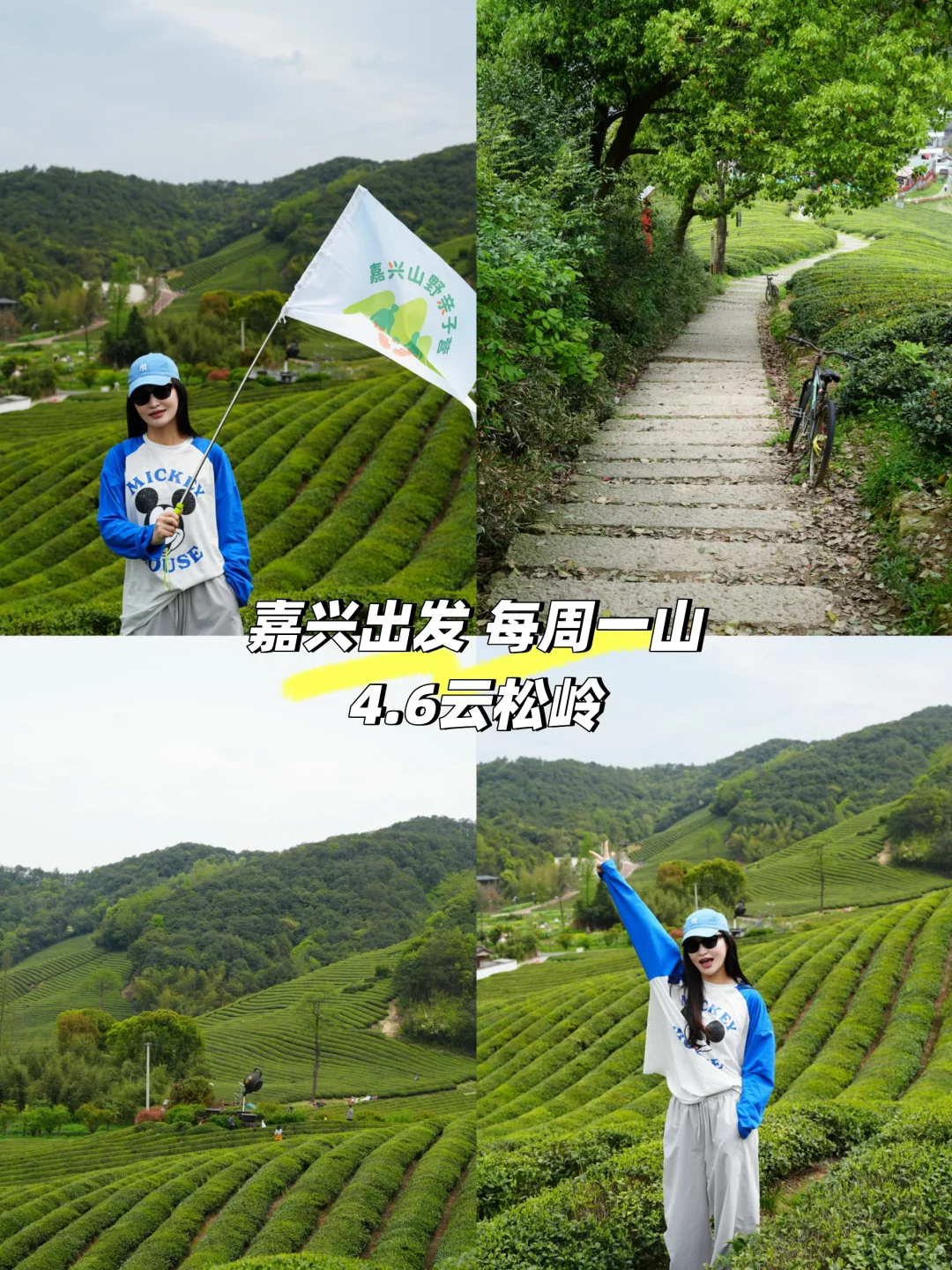 绍兴云松岭｜采茶+徒步+农家乐一站式攻略