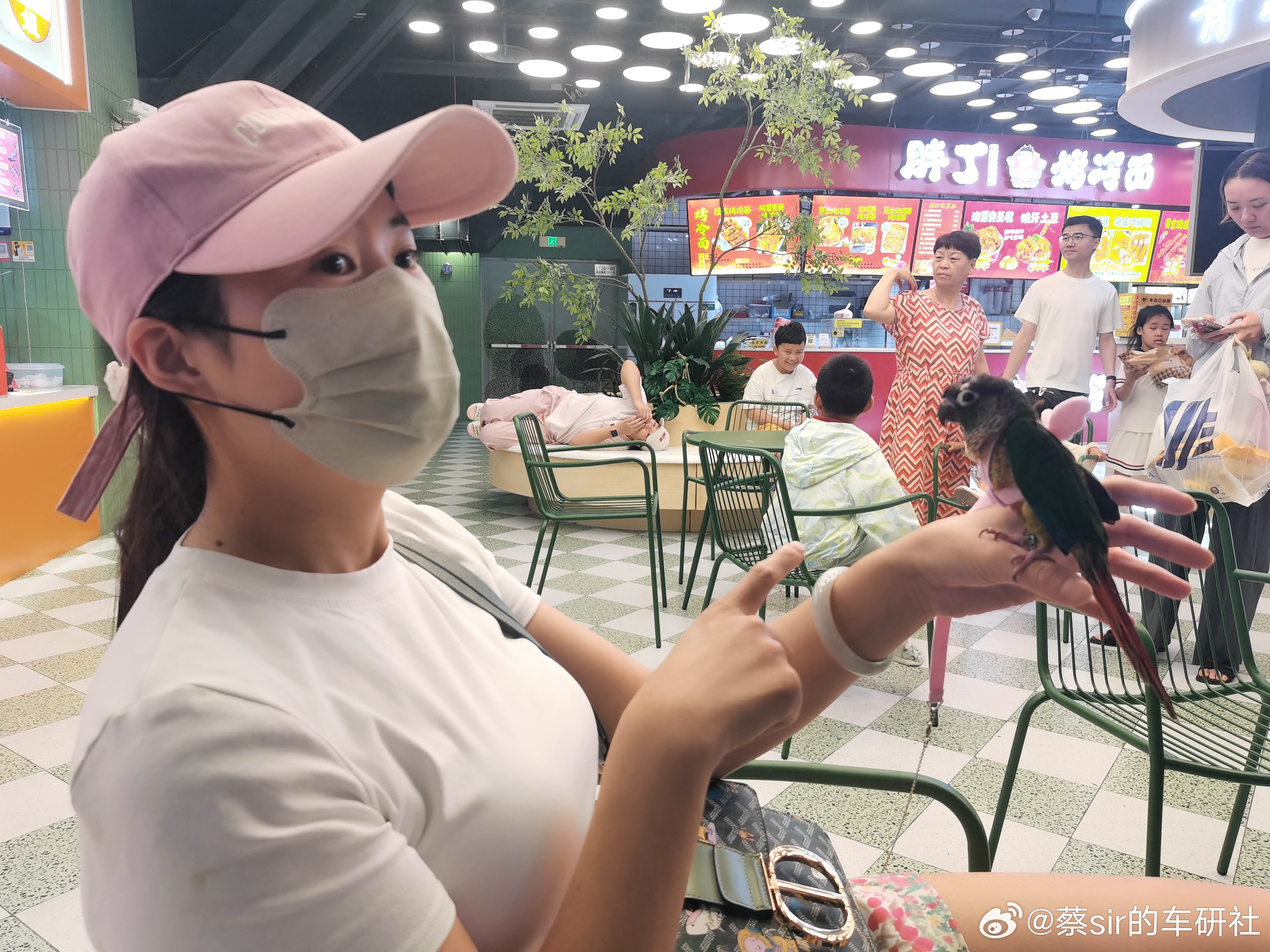 🐦也不害怕陌生人，我好像忘记要绿泡泡了常州