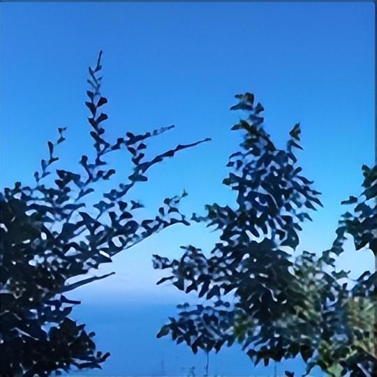 英外交大臣库珀在伦敦这样说
 
11月6日，库珀在伦敦这样说：
 
英中有很多共