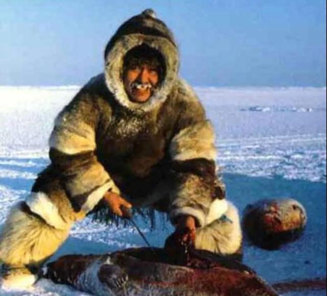 格陵兰岛说是丹麦的国土，实际上属于国中之国，也就因纽特人需要丹麦政府的补贴，要不