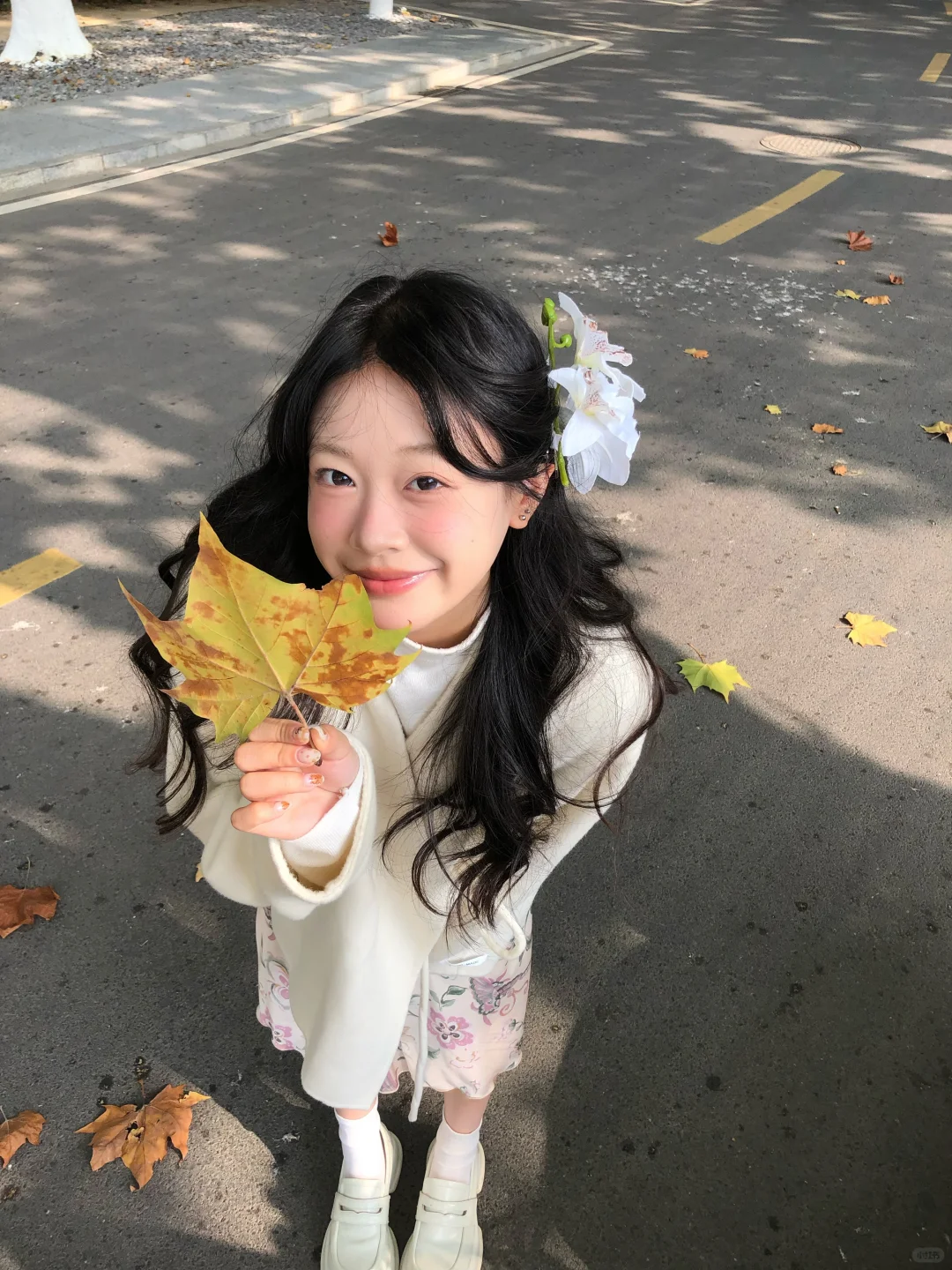 请参与我的秋天🍁ꈍ◡ꈍ
