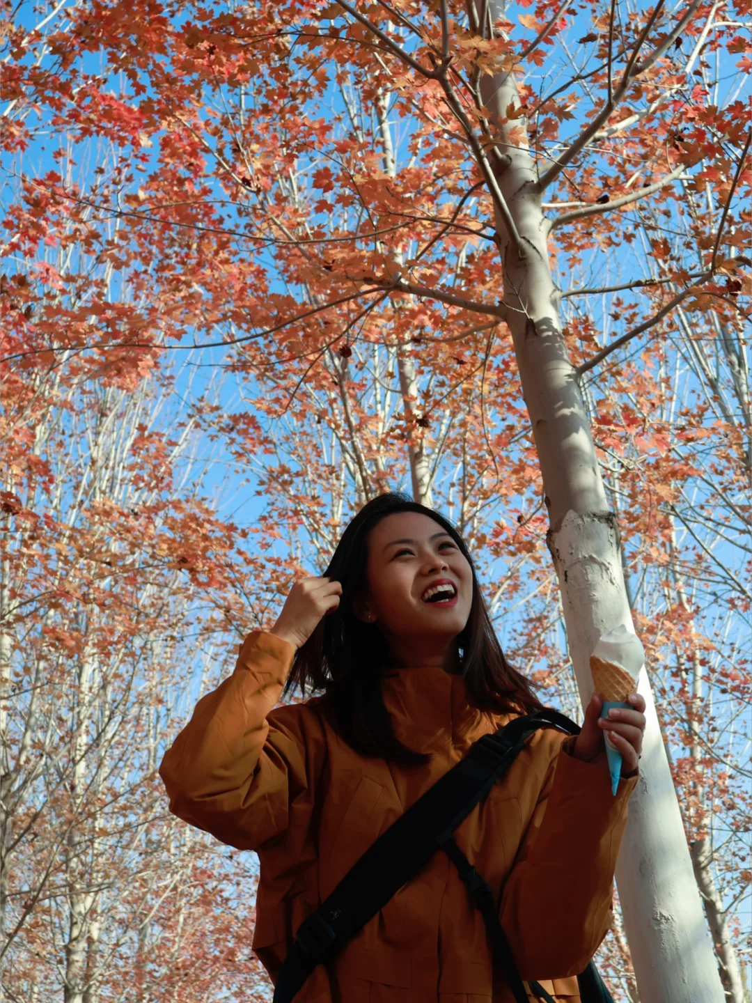 10.15实况🌅京郊偶遇百亩火红枫叶林🍁