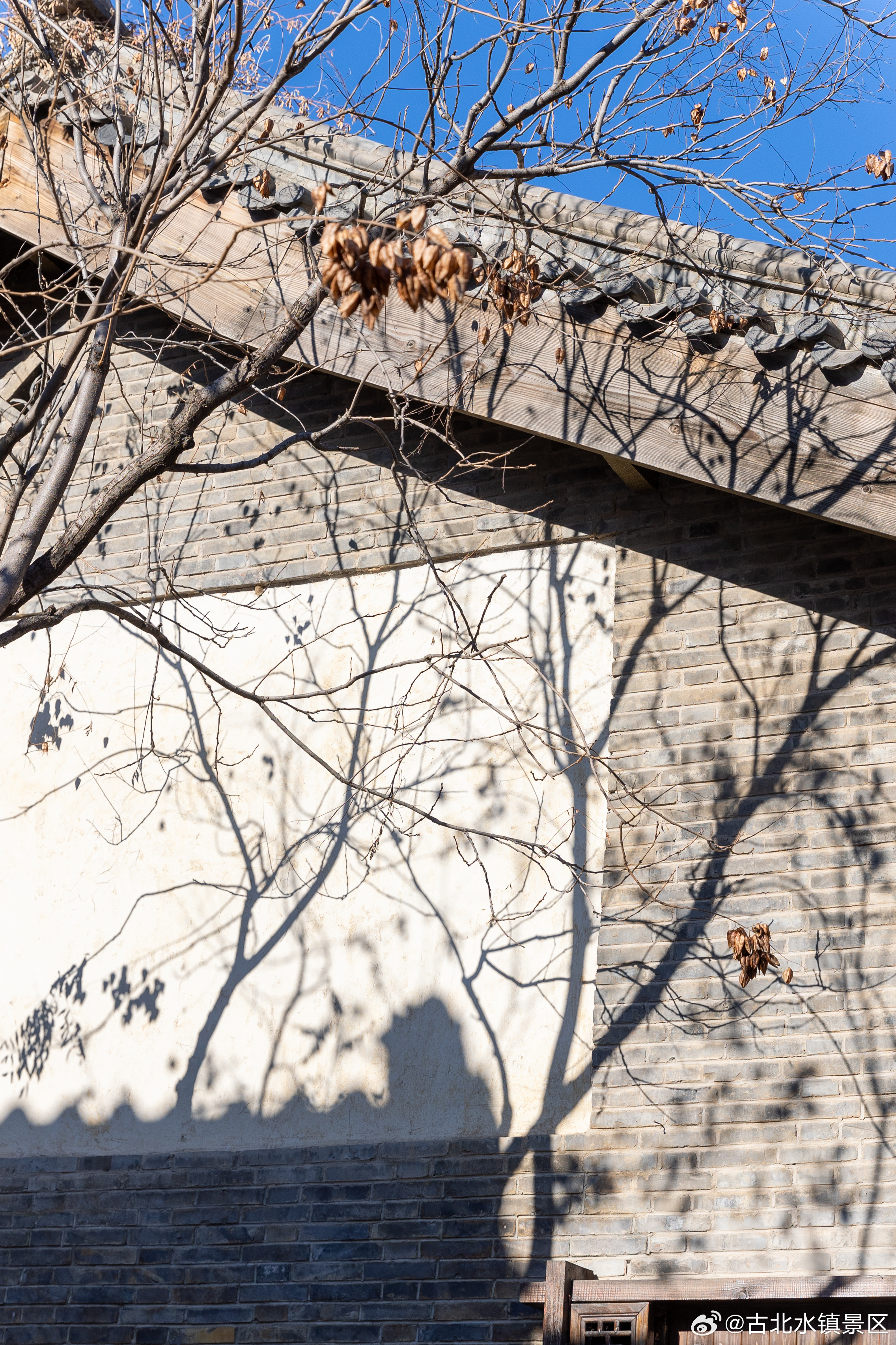 晨光吻过瓦檐，万物都在悄悄变好