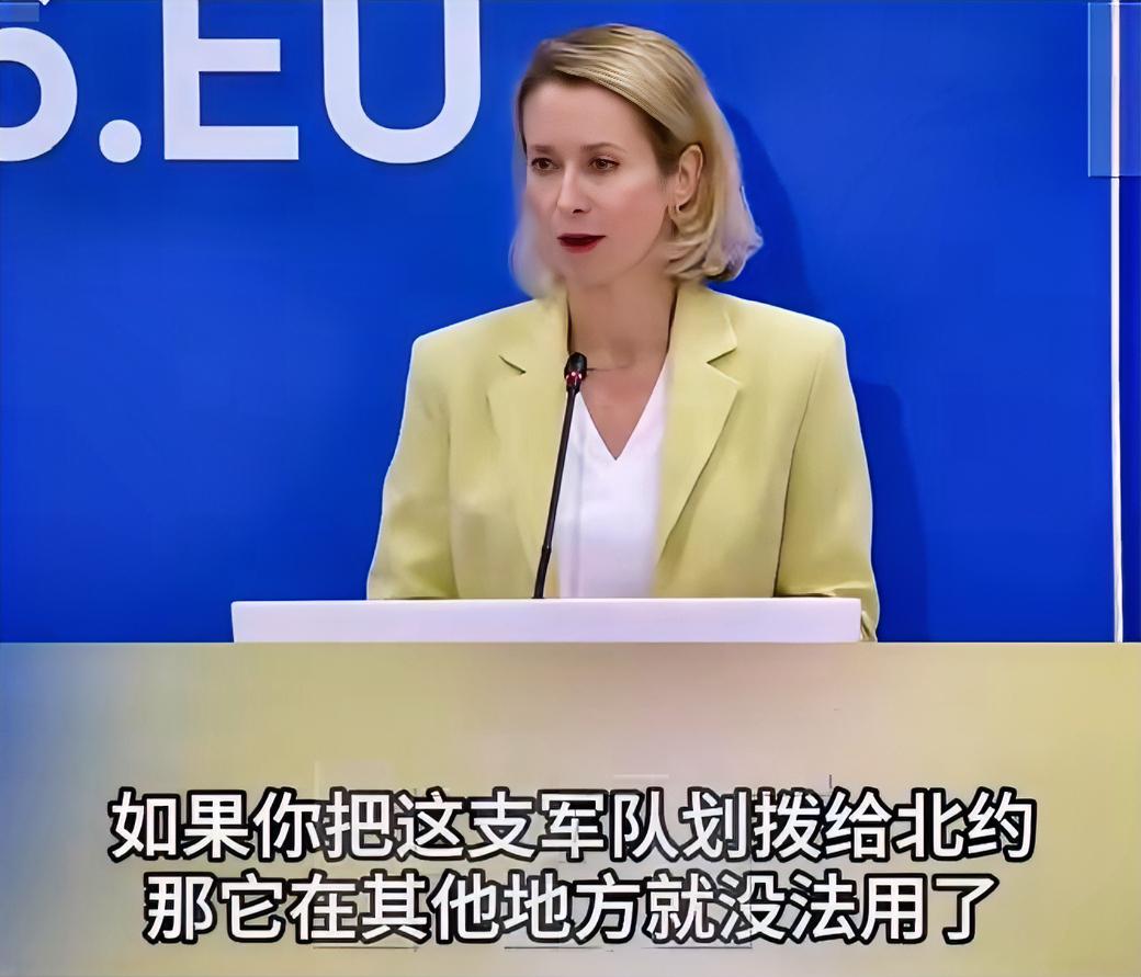 6月9日，欧盟外交与安全政策高级代表卡拉斯在塞浦路斯参加欧盟国防部长会议后，被问