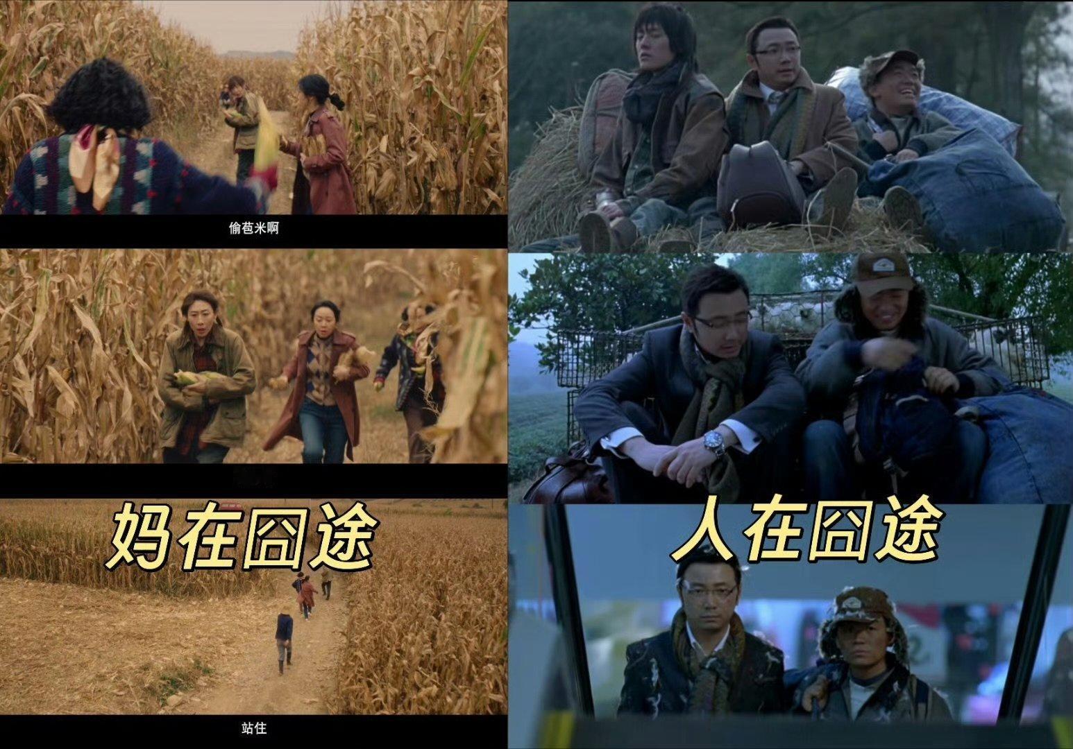 一路灿烂顶配三人行一路灿烂黑色幽默悬疑新剧一路灿烂 一路灿烂顶配女性探案天团来袭