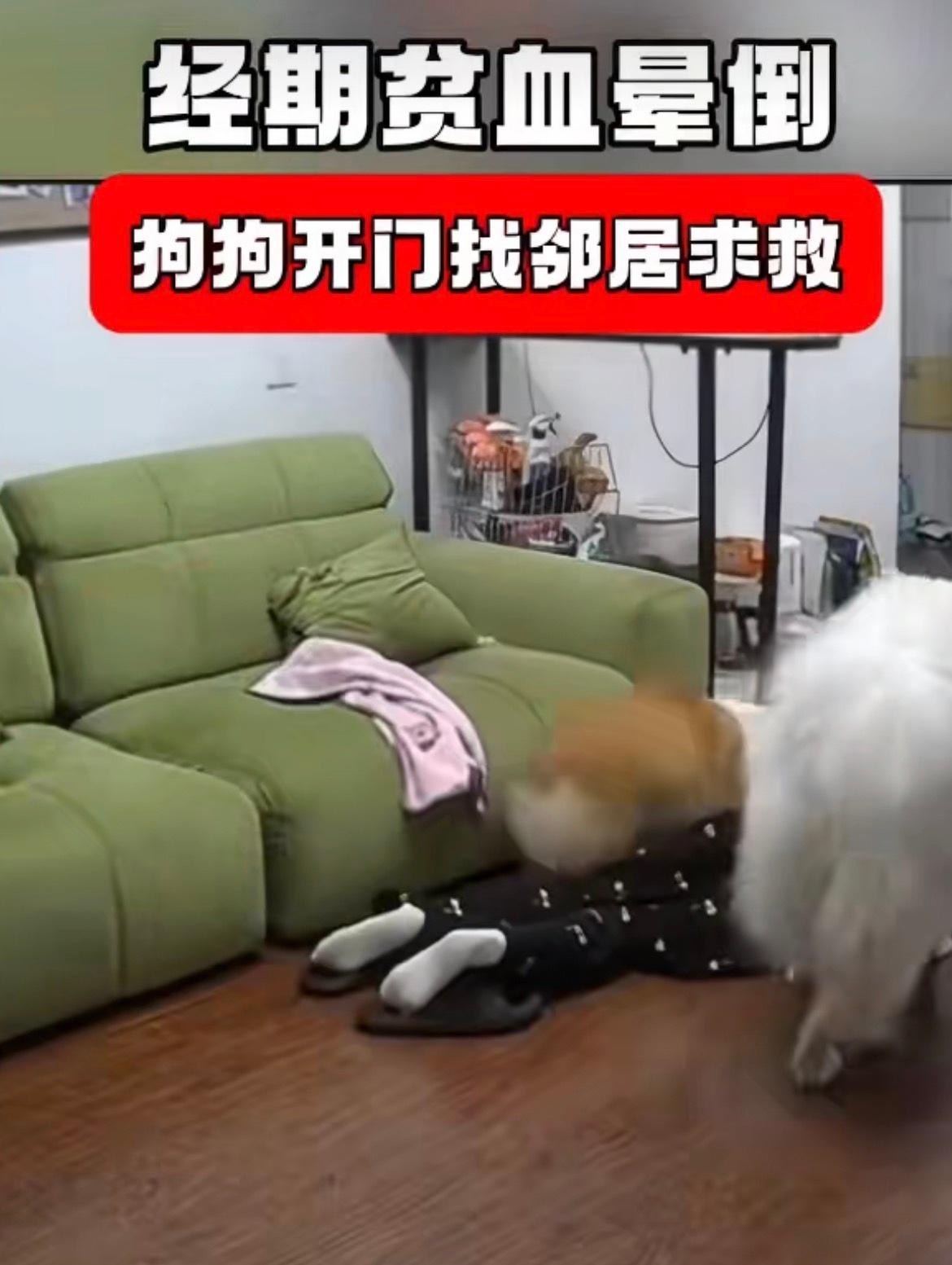 四川一位女子在家的时候，因为经期贫血，起身的时候突然眼前一黑，直接晕倒在了地上，
