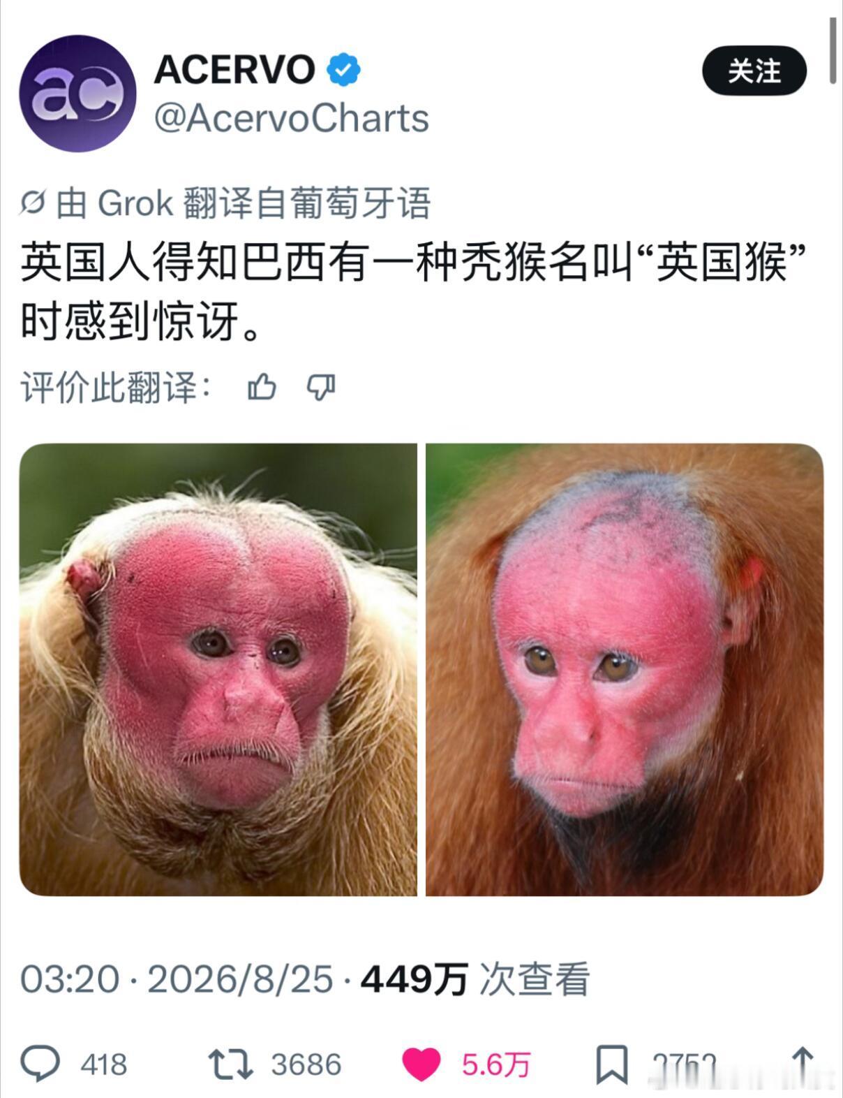 ？？？ ​​​