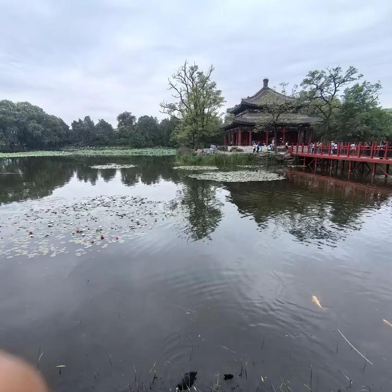 圆明园遗址公园！