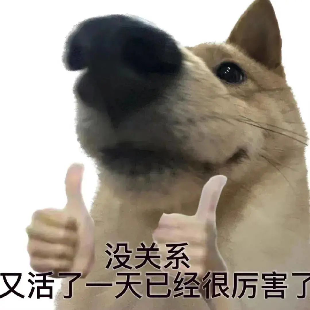 沙雕可爱表情包 ฅ 更新不易，拿图点赞[心]更多表情包请看主页[心] ​​​