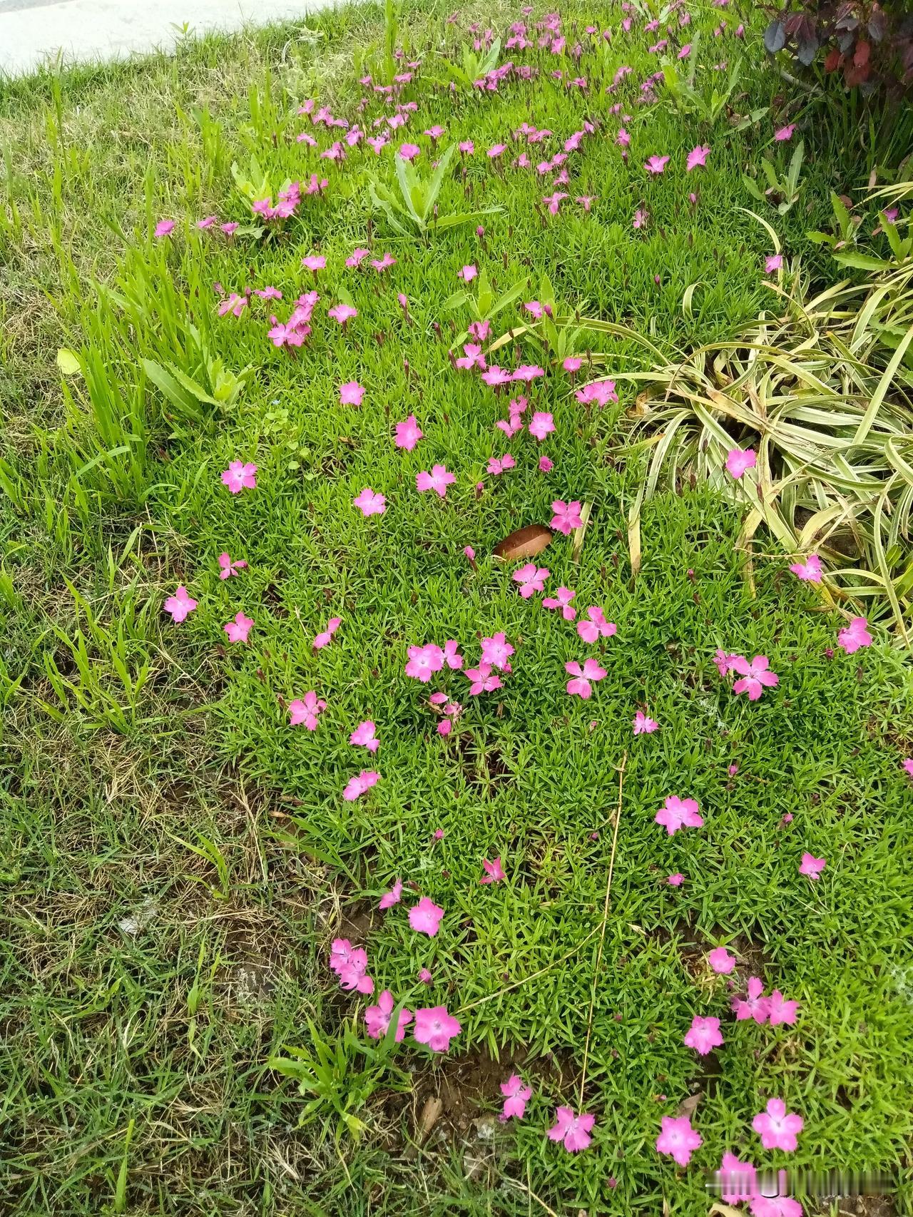 炒股就是凭运气！

炒股，其实运气的成份很大！赚钱了那是你运气好！亏钱了，说明运