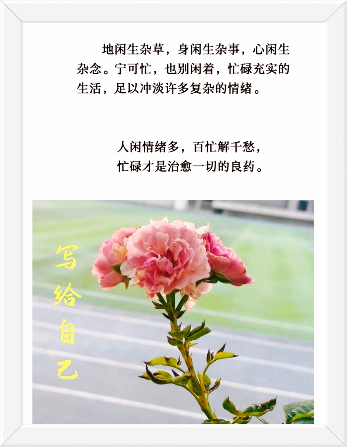 地闲生杂草，身闲生杂事，心闲生杂念。宁可忙，也别闲着，忙碌充实的生活，足以冲淡许