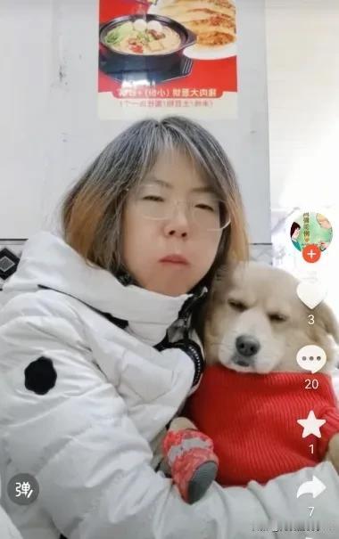 女子带狗去涮肉店吃肉卷，竟让狗上桌吃肉卷，还让狗舔盘子，吃完后满桌子都是狗的口水