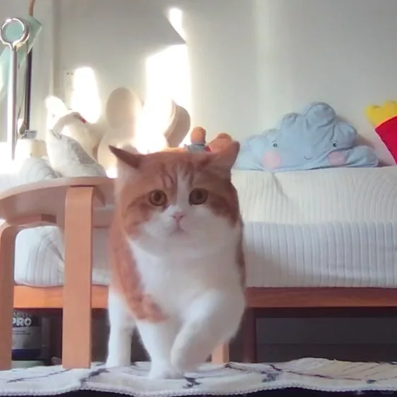 镜头里的他朝我走来