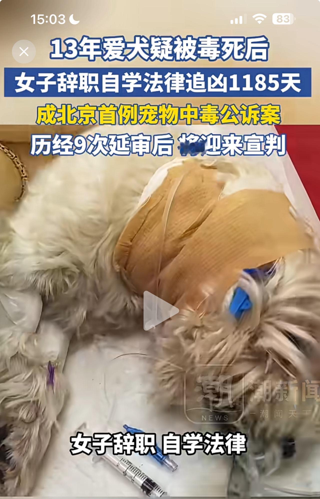 狗命也是命！

女子爱犬被毒死后，愤然辞职自学法律，追凶1185天，就是为了给爱