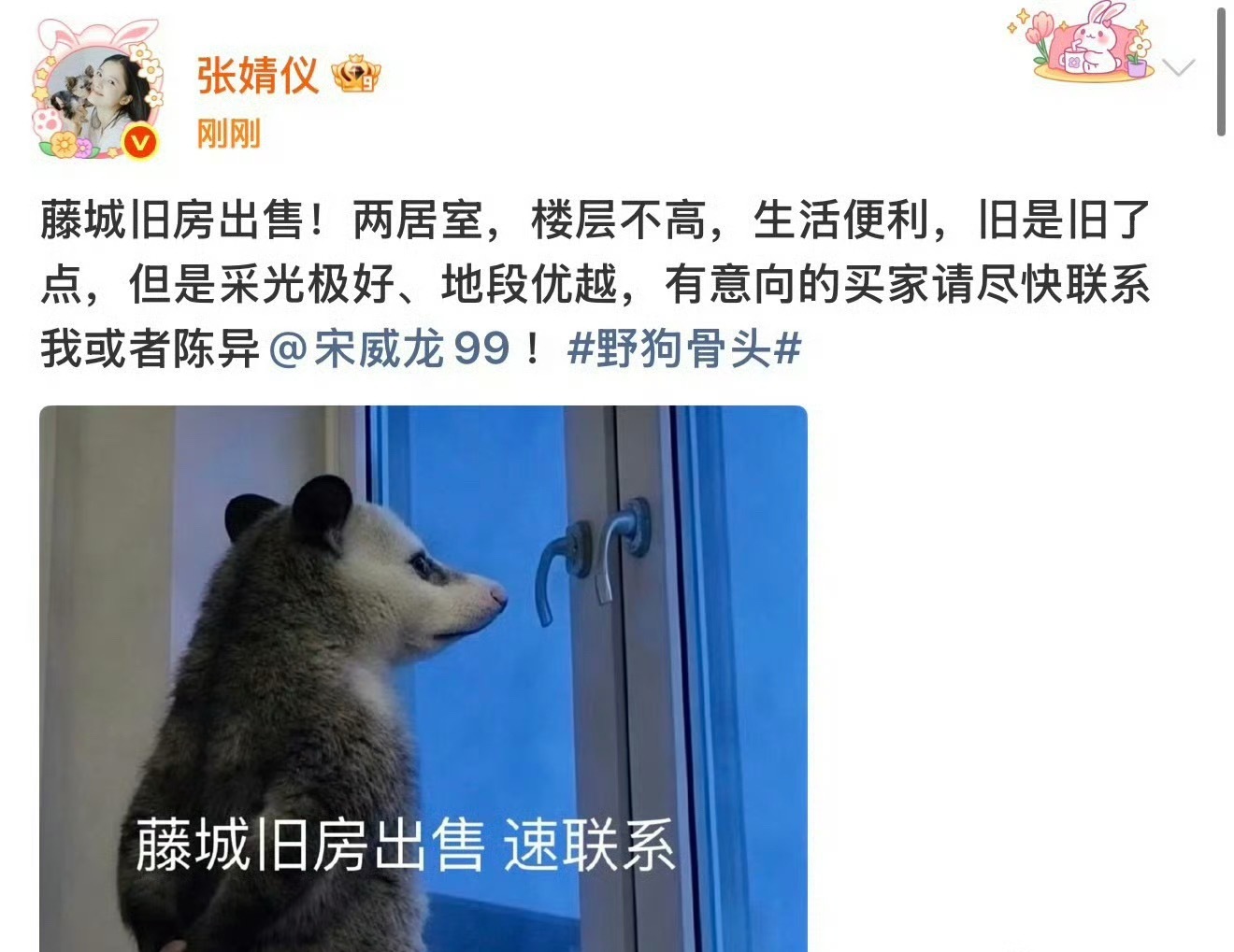 宋威龙张婧仪也是双向癫赴上了真是不行了，陈异终究是赢不过自己养大的玫瑰，就这样被