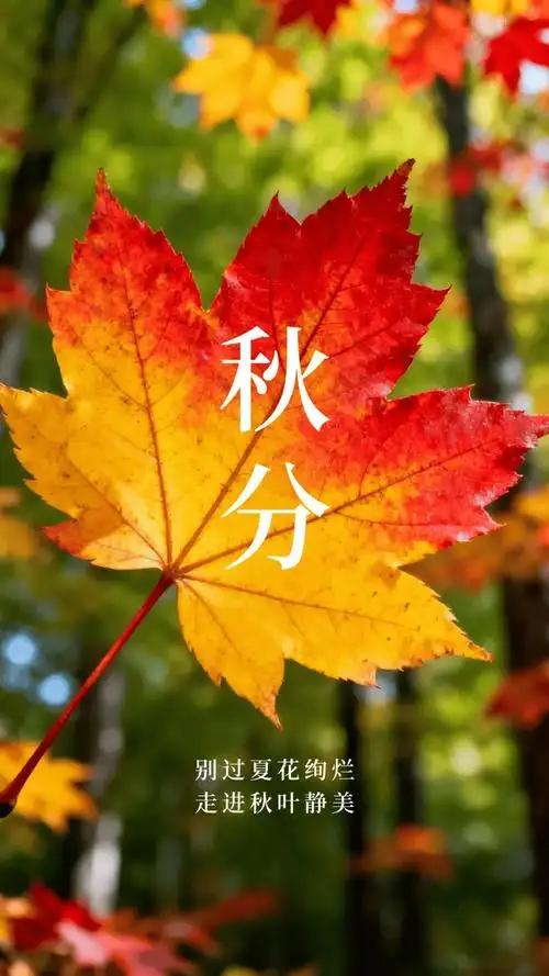 秋天一共有‌6个节气‌，分别是立秋、处暑、白露、秋分、寒露、霜降。‌今天是9月1