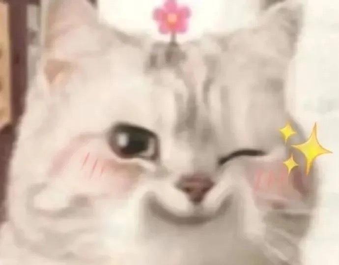 除了贴春联、吃年夜饭，其实年味还能更野！用投影做动态年俗墙，把红包做成盲盒藏满屋