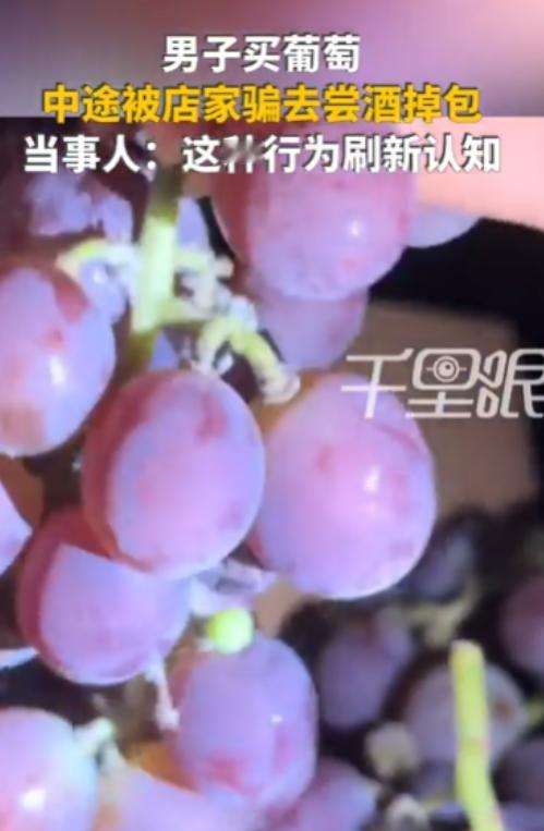 河南洛阳，男子开车30多公里去葡萄园采摘，摘完后老板主动打包，老板娘则热情拉客去