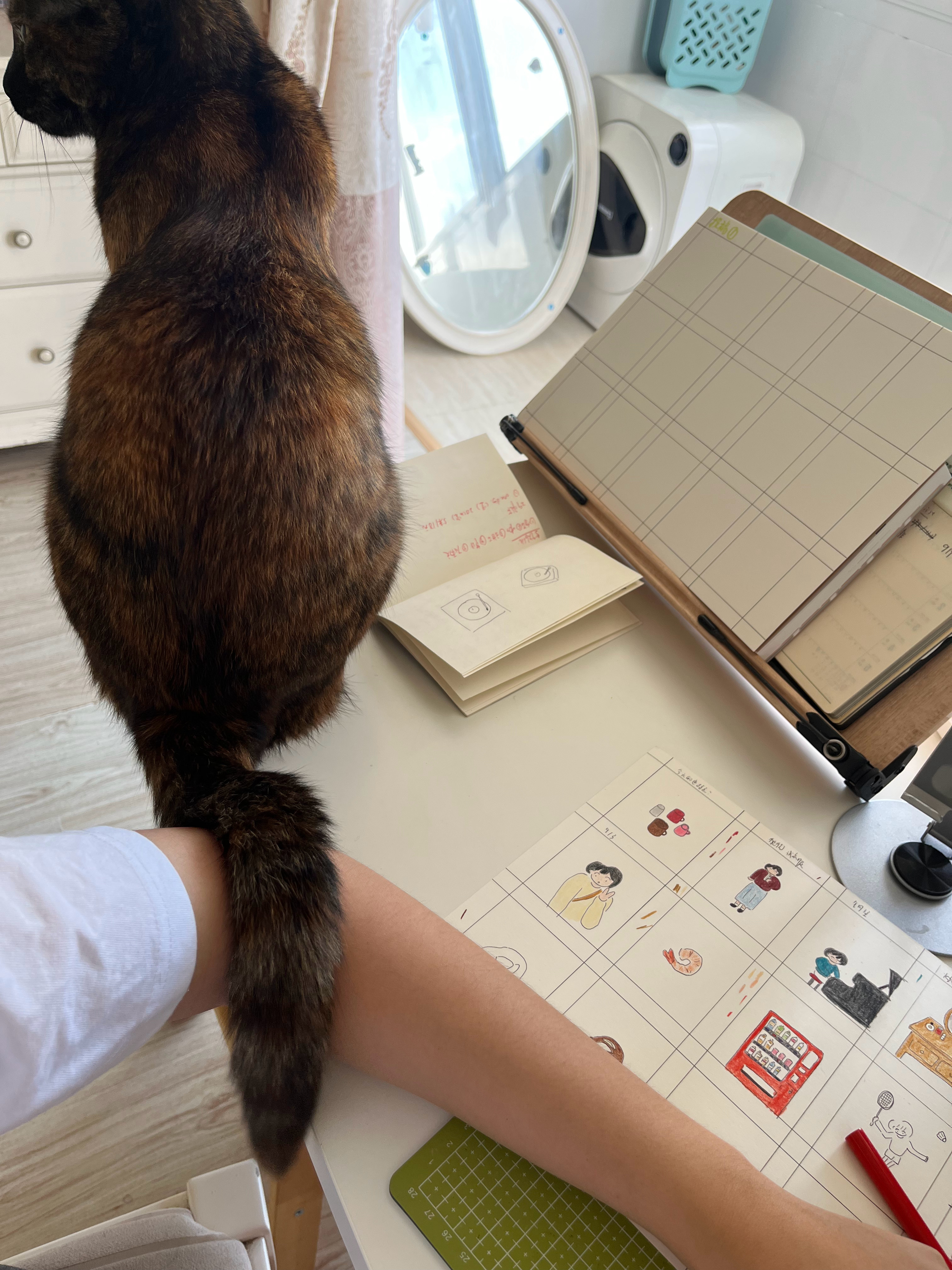 猫尾巴休息处 
